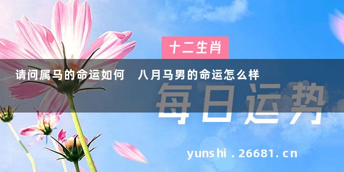 请问属马的命运如何 八月马男的命运怎么样